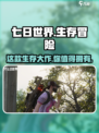 七日世界开发商是谁介绍