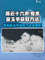 燕云十六声🔥奇术金玉手获取方法大公开！