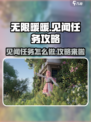 无限暖暖见闻任务怎么做介绍