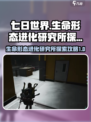七日世界生命形态进化研究所怎么探索介绍