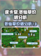 皮卡堂冬仙草多少钱介绍