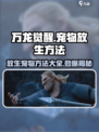 万龙觉醒🔥宠物放生秘籍，快速提升战力💡