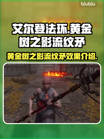 艾尔登法环🔥黄金树之影流纹矛效果揭秘！截图1