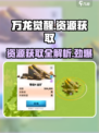 万龙觉醒-resources爆满屏！🔥游戏资源获取全攻略💎