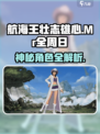航海王壮志雄心Mr全周日是谁介绍