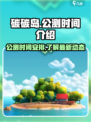 碳碳岛什么时候公测介绍