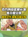 百万吨级武藏W🔥发售日期终于曝光！💥