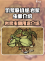 饥荒联机版岩浆虫卵有什么用介绍