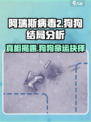 阿瑞斯病毒2🐶：狗狗必杀？结局大起底！