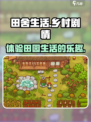 田舍生活剧情是什么介绍