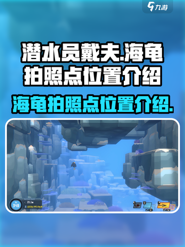潜水员戴夫海龟拍照点在哪介绍截图1