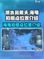 潜水员戴夫海龟拍照点在哪介绍
