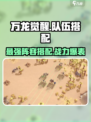 万龙觉醒🔥最强队伍搭配攻略来了！快来看👇