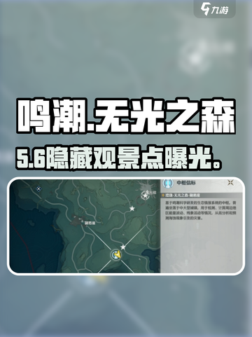 🎮鸣潮无光之森隐藏观景位曝光！截图1