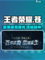 王者荣耀苍是谁介绍