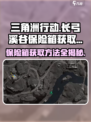 三角洲行动🔥长弓溪谷保险箱获取方法大揭秘！🎮