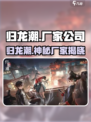 归龙潮是哪个厂家介绍