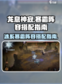 龙息神寂寒霜阵容怎么搭配介绍