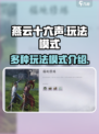 燕云十六声有什么玩法介绍