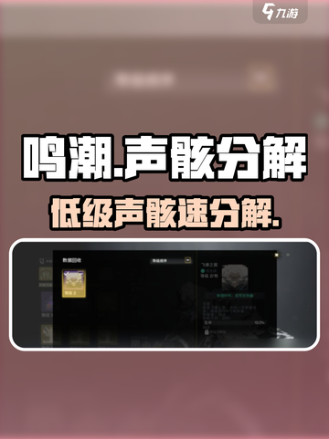 鸣潮💥低级声骸秒分解！截图1