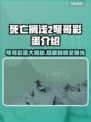 死亡搁浅2⚡弩哥彩蛋大曝光！你绝对猜不到的内容🔥