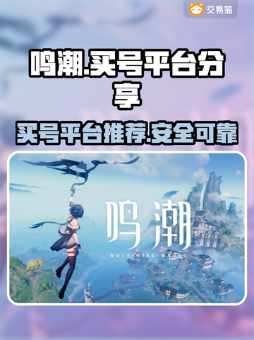 鸣潮⚡买号平台大揭秘！玩家必看🔥截图1