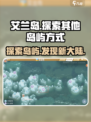艾兰岛如何去其他岛介绍
