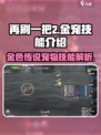 再刷一把2金色传说宠物技能是什么介绍