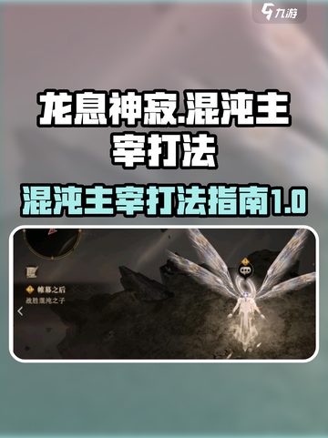 龙息神寂打混沌主宰怎么打介绍截图1