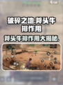 破碎之地🔥斧头牛排超全作用解析！🎮🥩