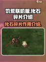 饥荒联机版🔥化石碎片大揭秘！💡