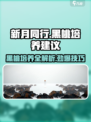 新月同行🔥黑桃培养全攻略，轻松上分必备！