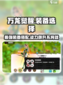 万龙觉醒🔥装备选择攻略，最强装备推荐在这里！