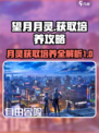 阴阳师：望月月灵获取🔥培养全攻略！💎