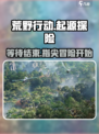 荒野起源什么时候能玩介绍