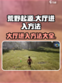 荒野起源😎：快速进入大厅的秘籍！🎮