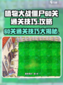 植物大战僵尸杂交版60关🔥通关秘籍💡