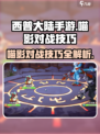 西普大陆手游喵影打法🔥超详细对战技巧分享！游戏技巧🌟