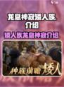 龙息神寂矮人🔥《原神》隐藏种族大揭秘！