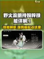 🔥野火流明持婉梓技能大曝光！玩转游戏名必备✨