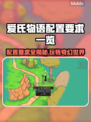 爱氏物语配置要求🔥低配手机玩家必看！🎮