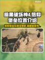 暗黑4信仰堡垒位置🔥超详细地图指引📍