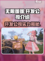 无限暖暖开发商是哪个介绍