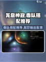 龙息神寂🔥毒队搭配攻略手游玩家必看！