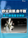 🔥野火流明曲千秋强度爆表！