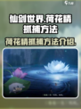仙剑世界荷花精怎么抓介绍