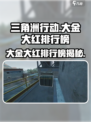 三角洲行动🔥大金排行榜，揭秘大金和大红真相！