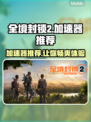 全境封锁2加速器推荐🔥让你的游戏体验更流畅！🎮