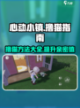 心动小镇怎么撸猫介绍