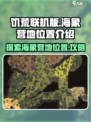 饥荒联机版海象营地在哪里介绍